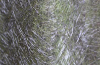 Oaker fibreglass roof work